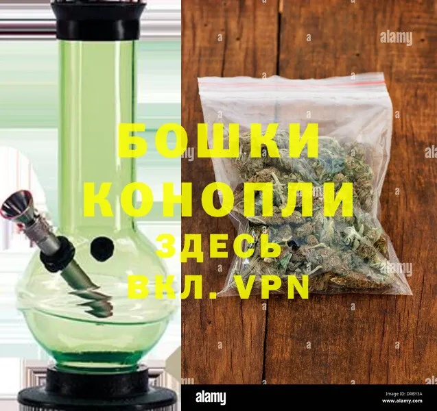 купить наркотики сайты  Заводоуковск  Бошки марихуана THC 21% 